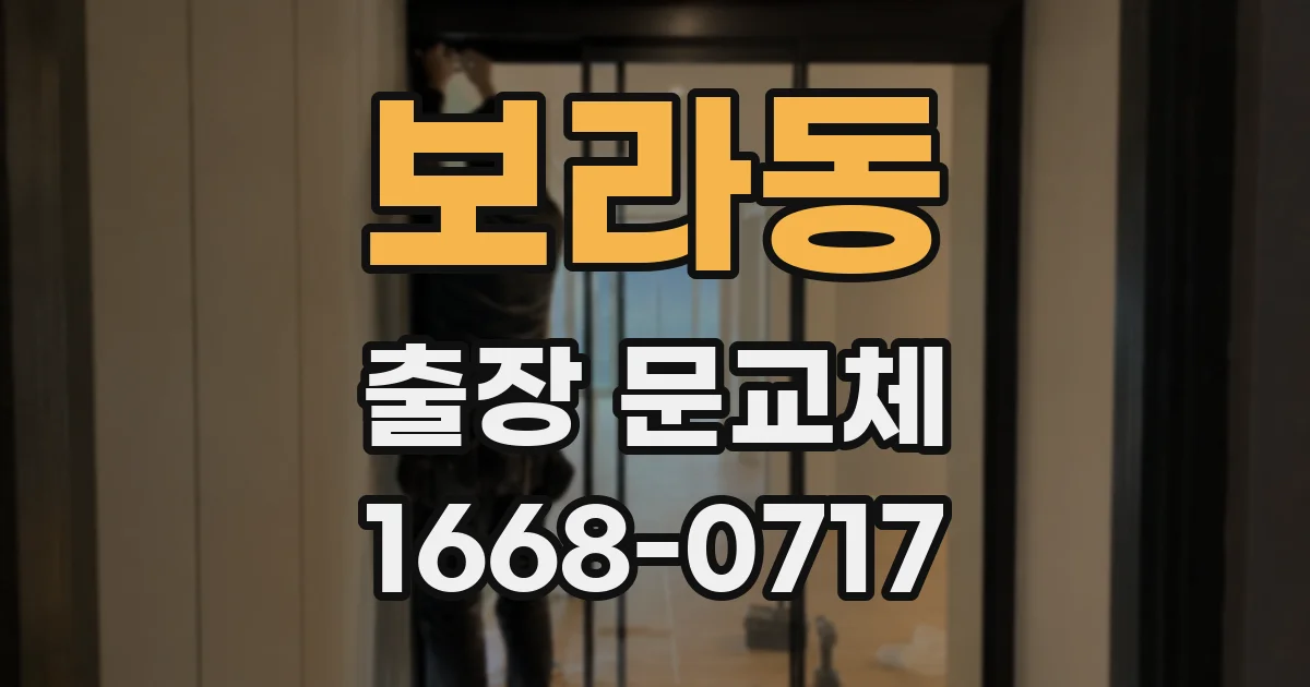 보라동 출장 문교체