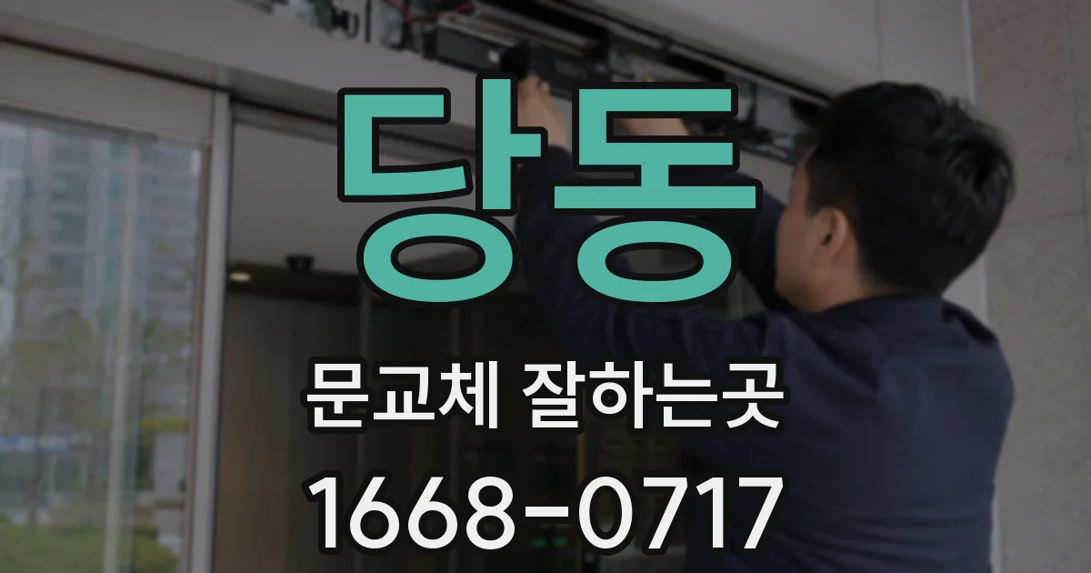 당동 문교체 잘하는곳