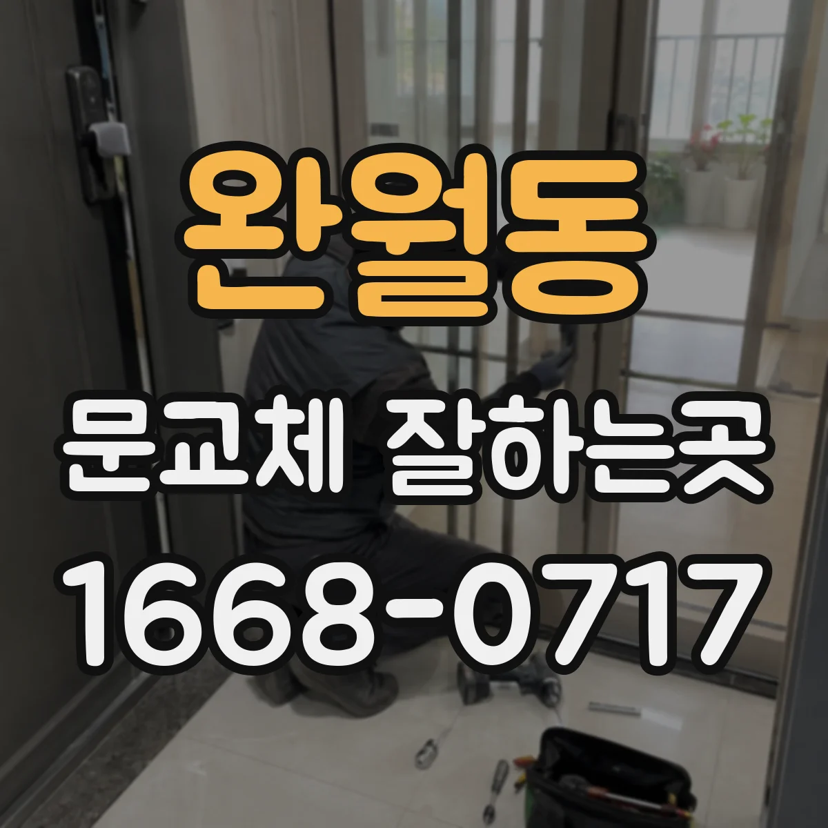 완월동 문교체 잘하는곳