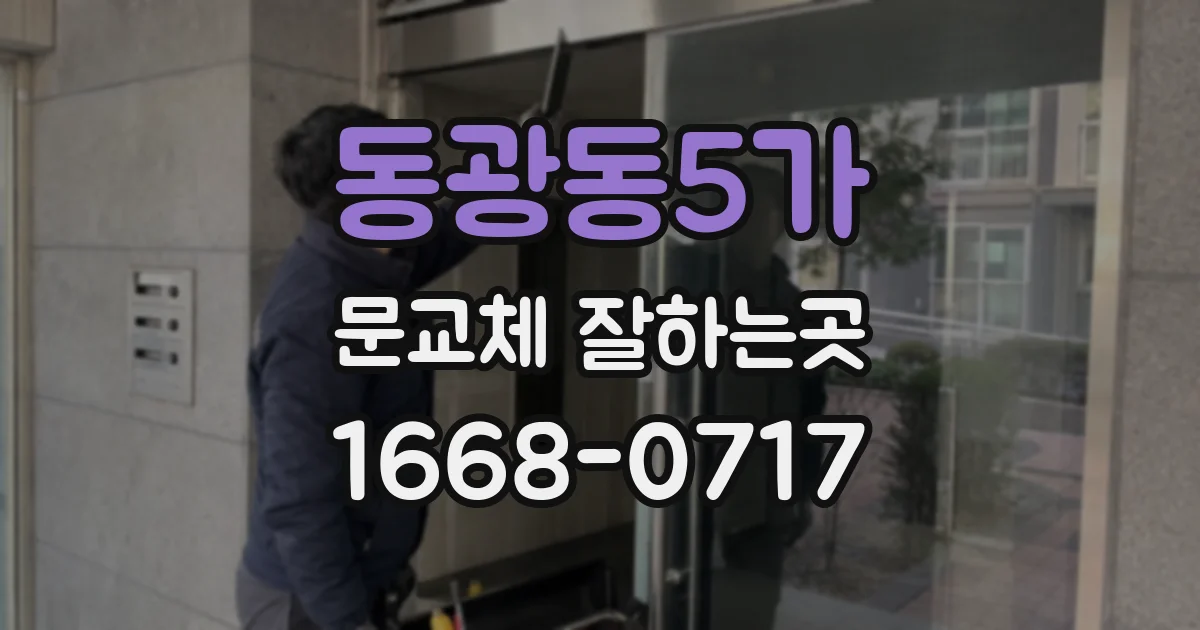 동광동5가 문교체 잘하는곳
