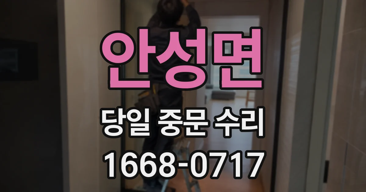 안성면 당일 중문 수리