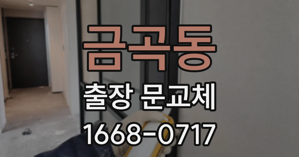 금곡동 출장 문교체