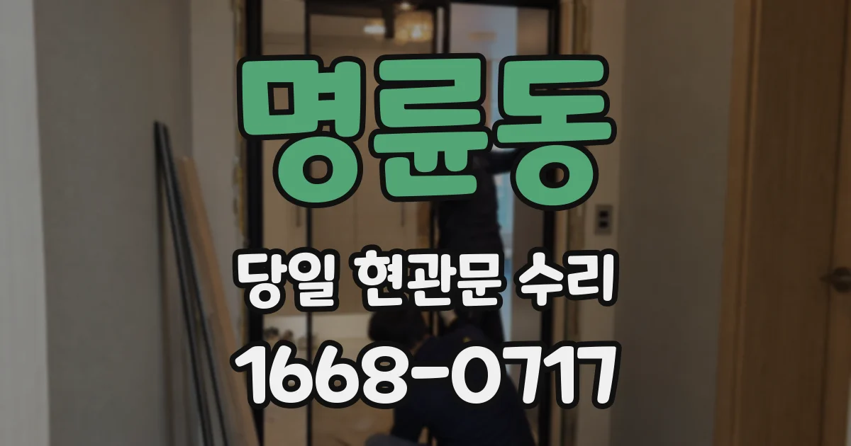 명륜동 당일 현관문 수리
