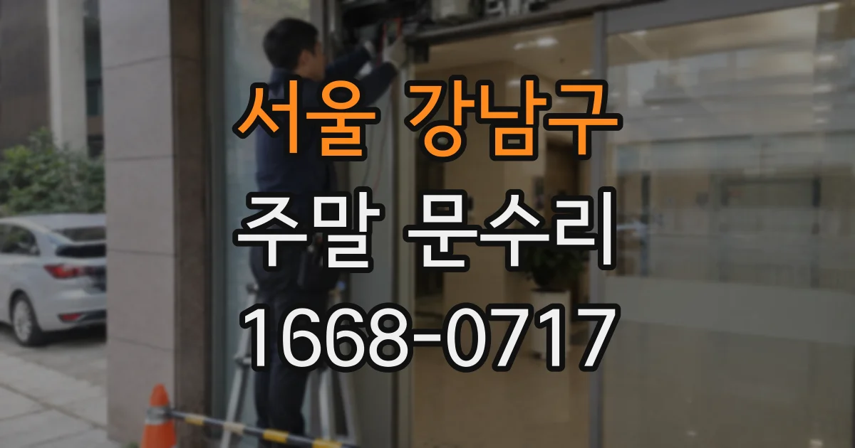 서울 강남구 주말 문수리