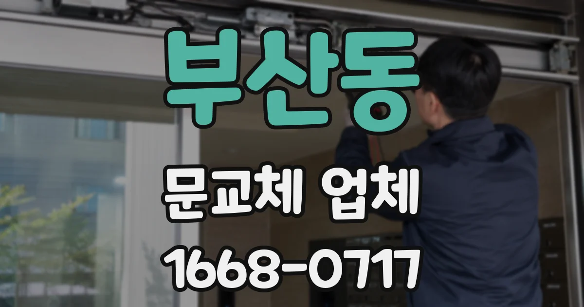 부산동 문교체 업체