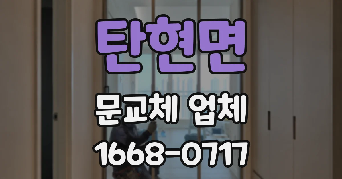 탄현면 문교체 업체