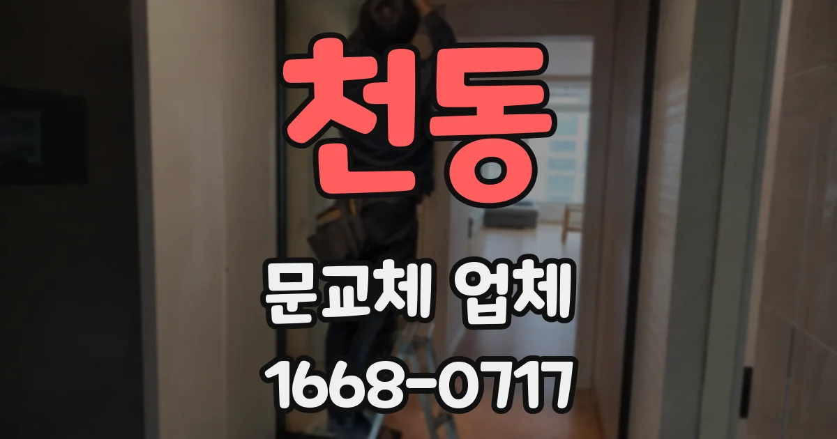 천동 문교체 업체