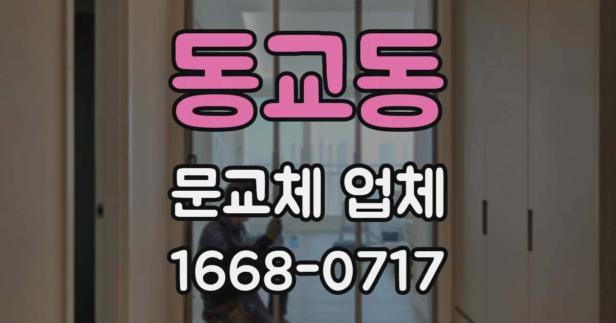 동교동 문교체 업체