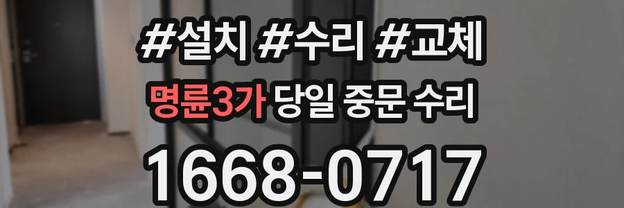 명륜3가 당일 중문 수리
