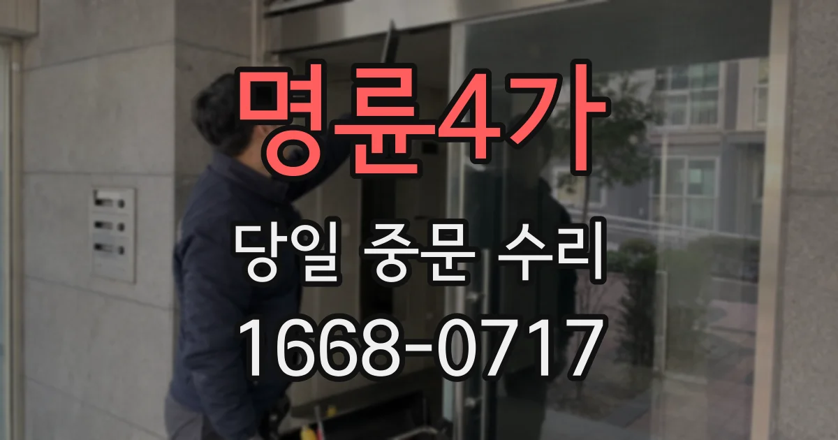 명륜4가 당일 중문 수리