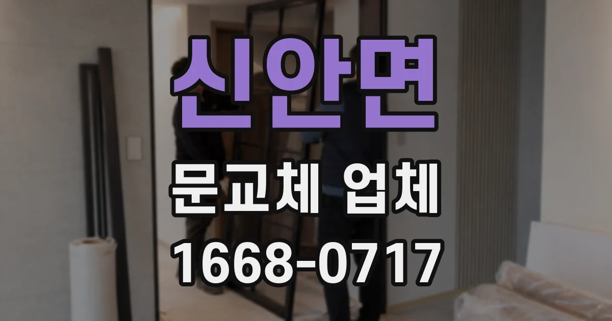 신안면 문교체 업체