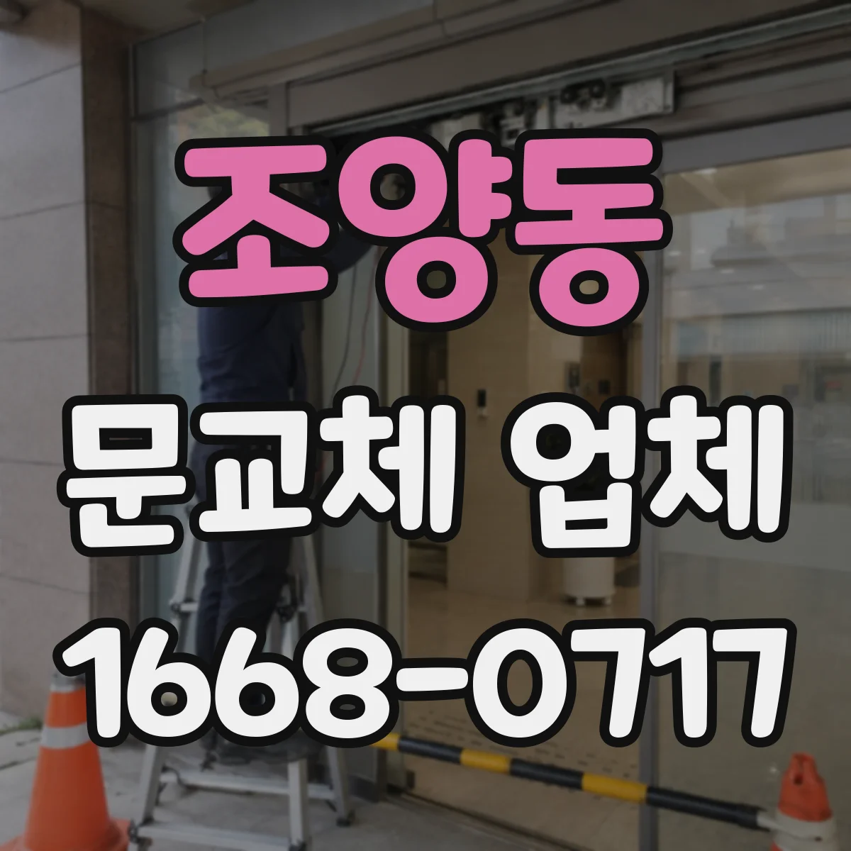 조양동 문교체 업체