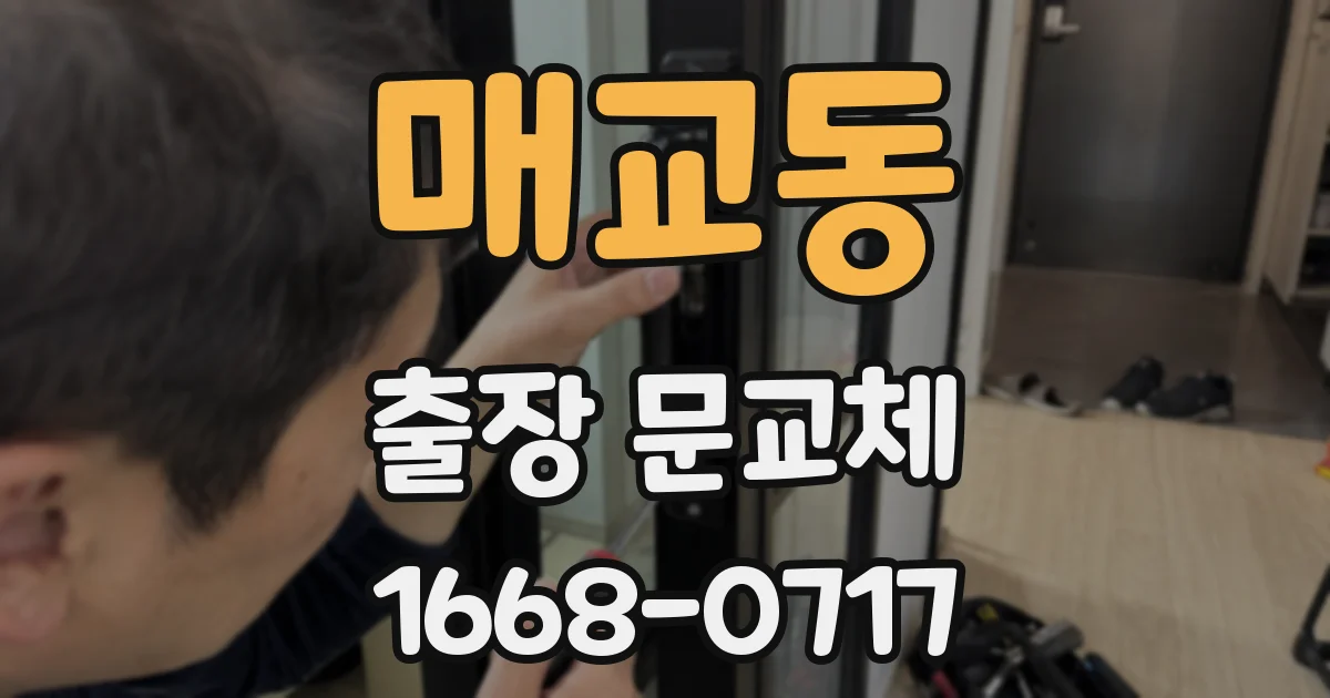 매교동 출장 문교체