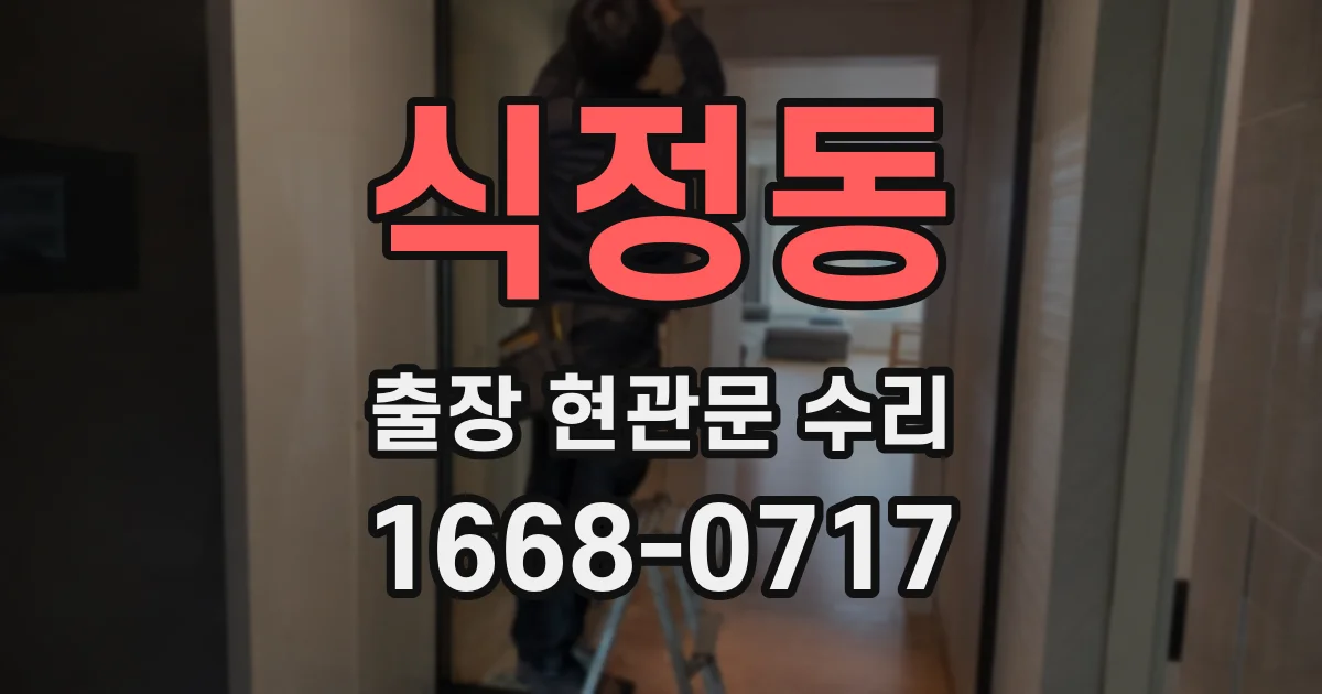 식정동 출장 현관문 수리