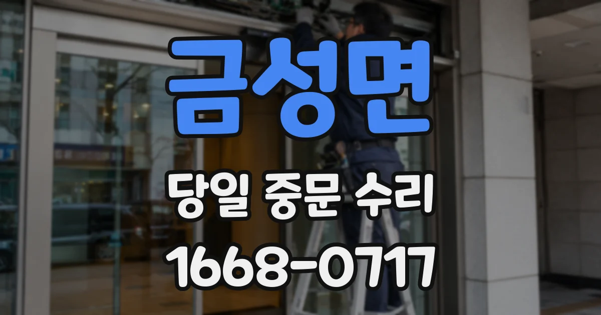 금성면 당일 중문 수리