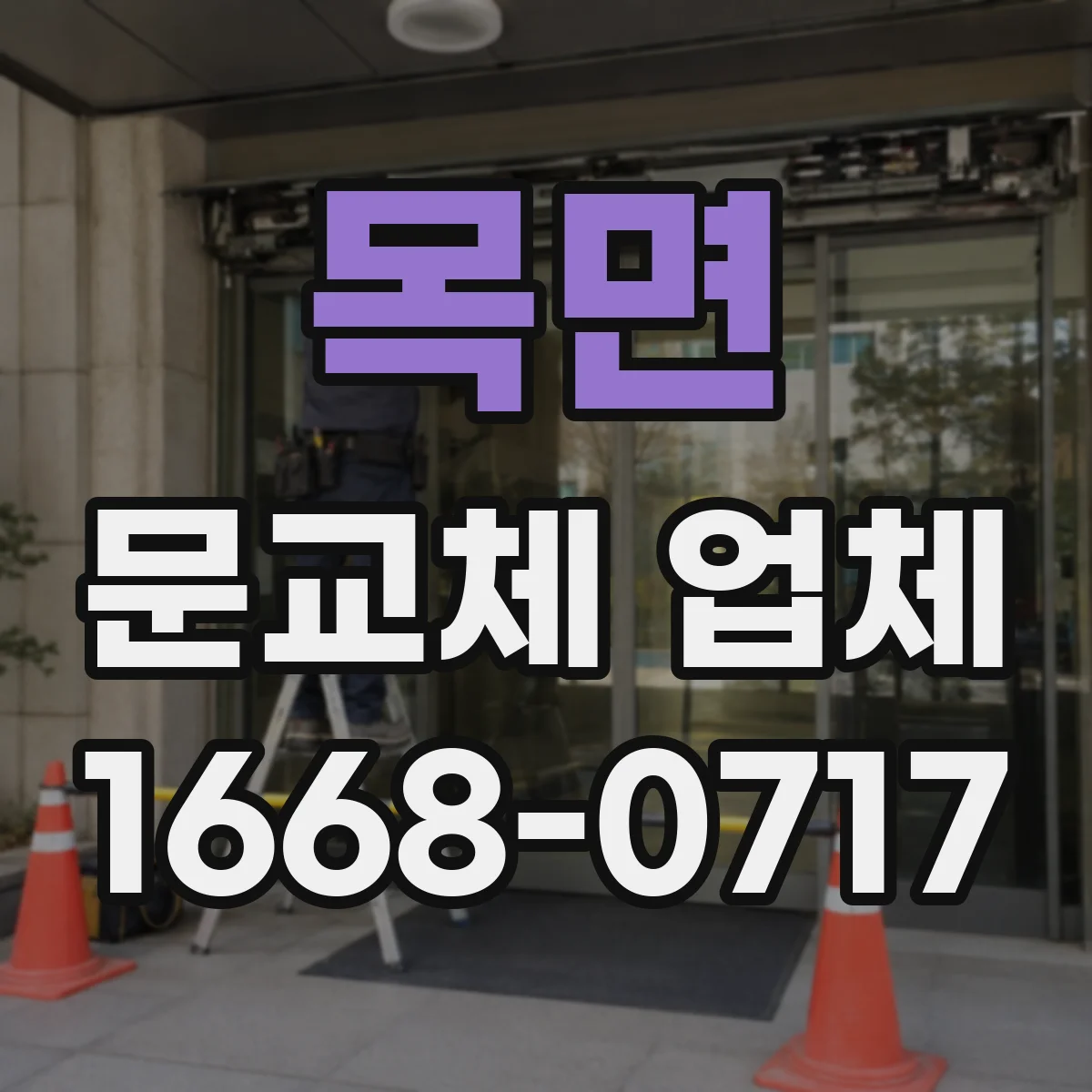 목면 문교체 업체