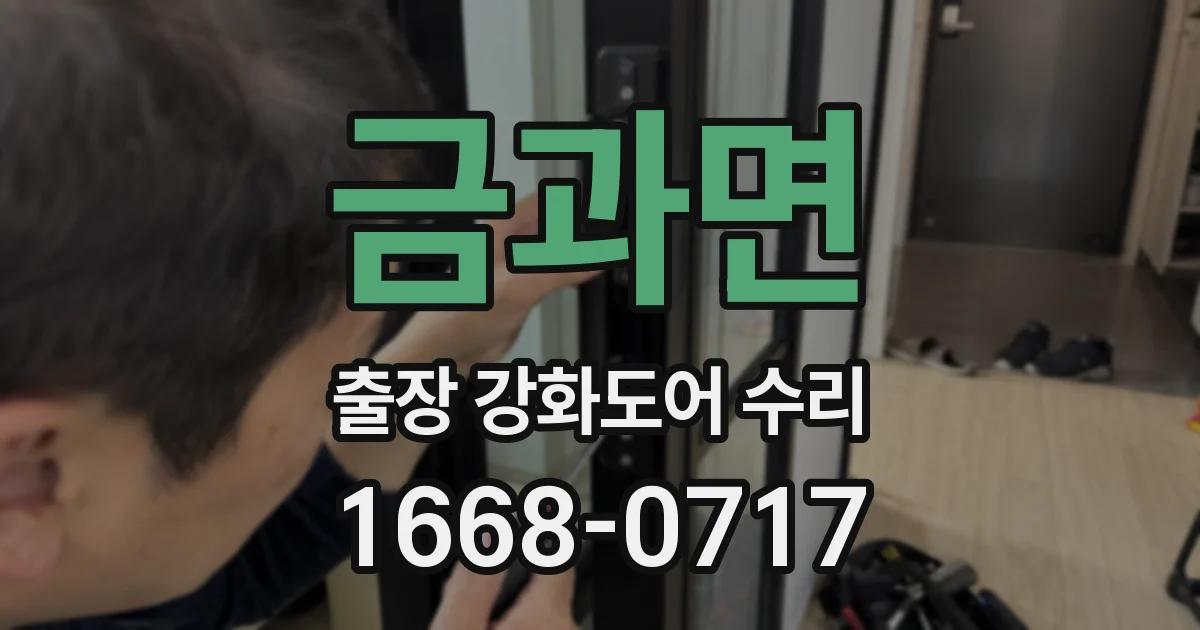 금과면 출장 강화도어 수리