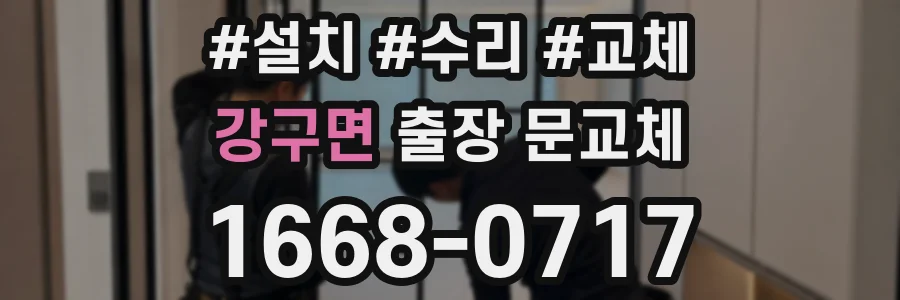 강구면 출장 문교체