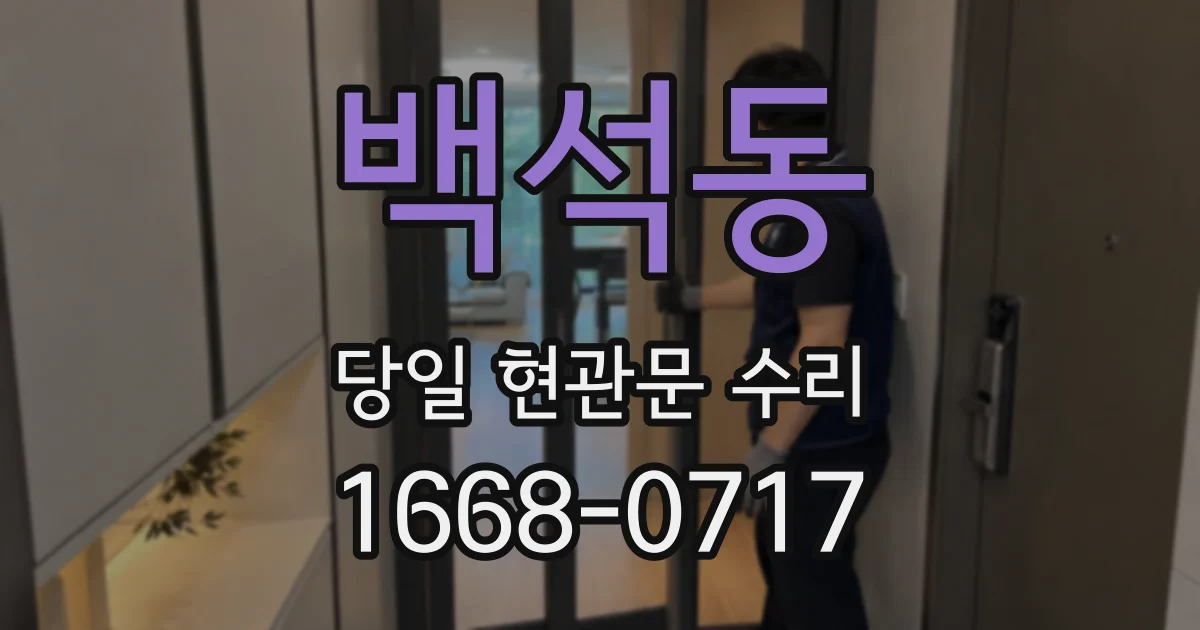 백석동 당일 현관문 수리