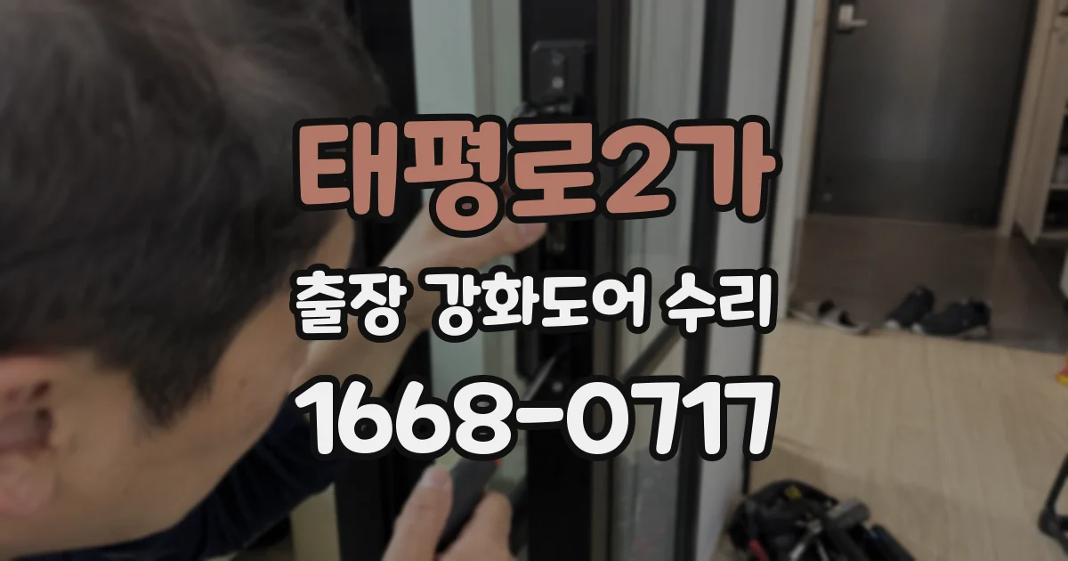 태평로2가 출장 강화도어 수리