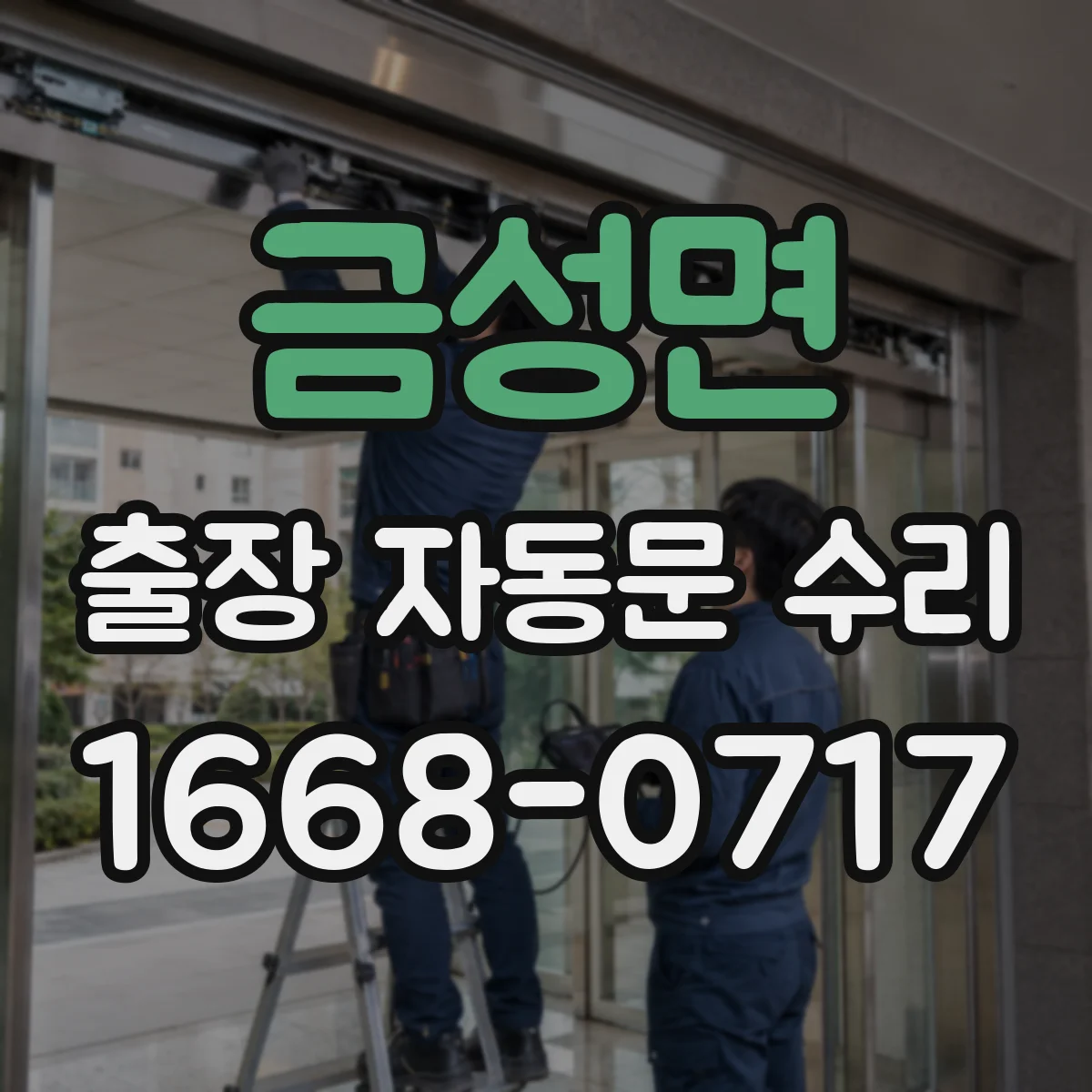 금성면 출장 자동문 수리