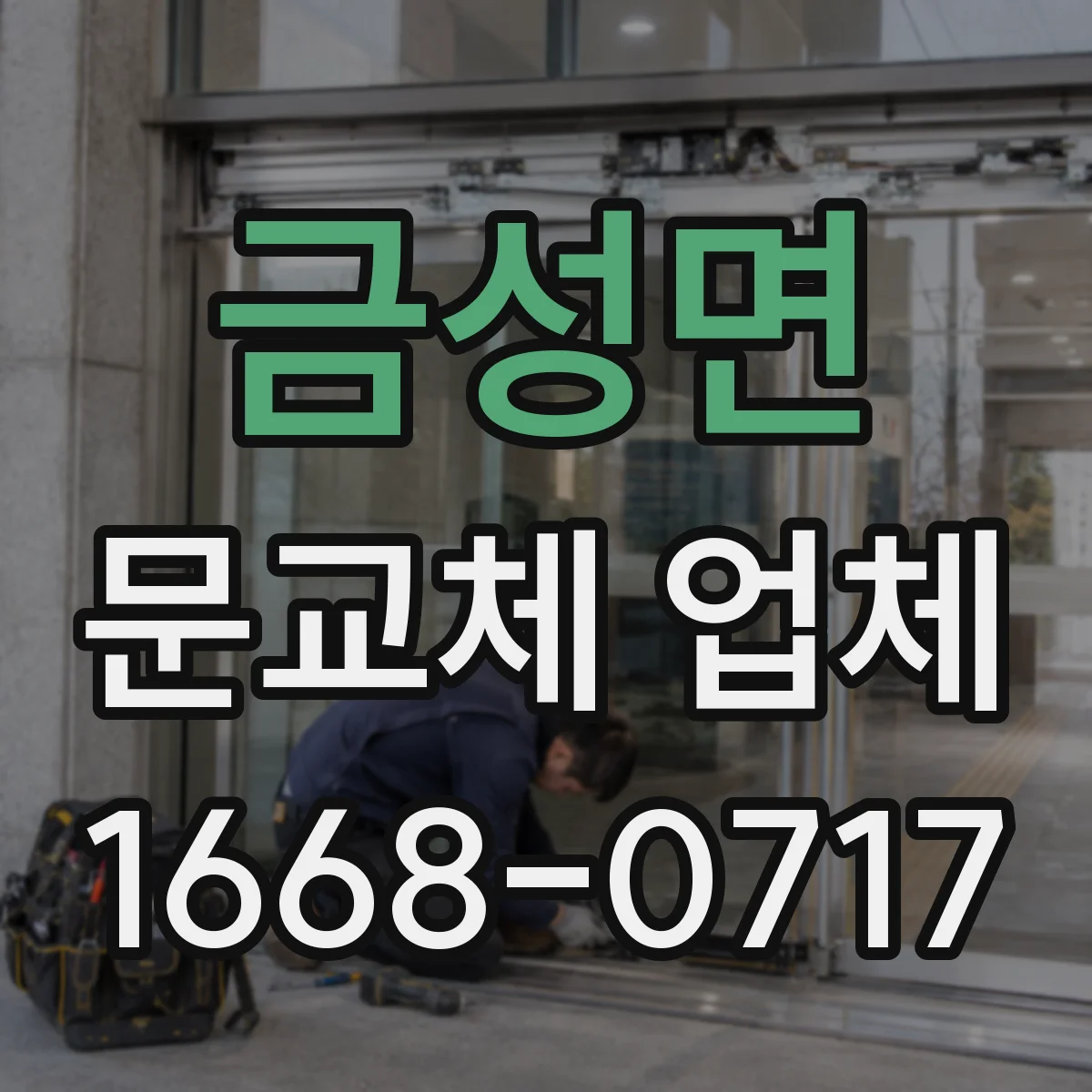 금성면 문교체 업체