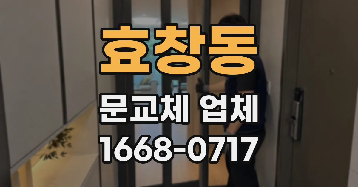 효창동 문교체 업체
