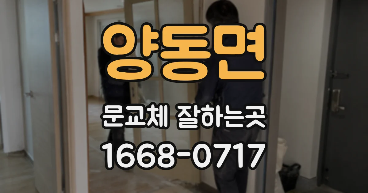 양동면 문교체 잘하는곳