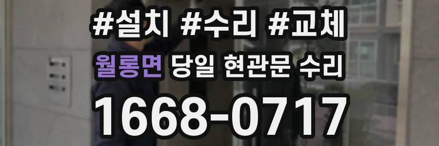 월롱면 당일 현관문 수리