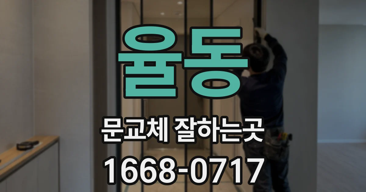 율동 문교체 잘하는곳