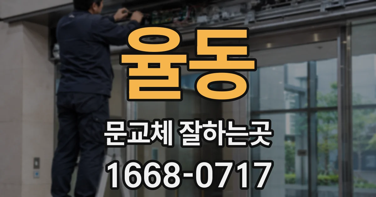 율동 문교체 잘하는곳