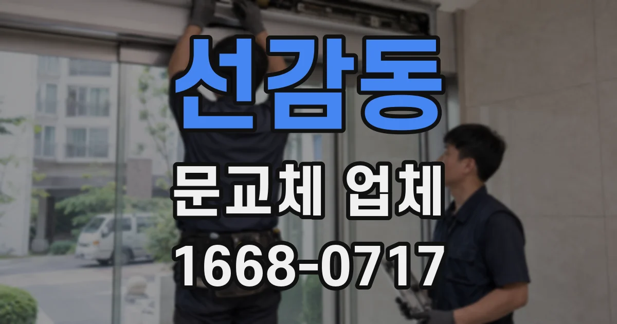 선감동 문교체 업체