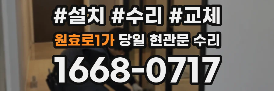 원효로1가 당일 현관문 수리