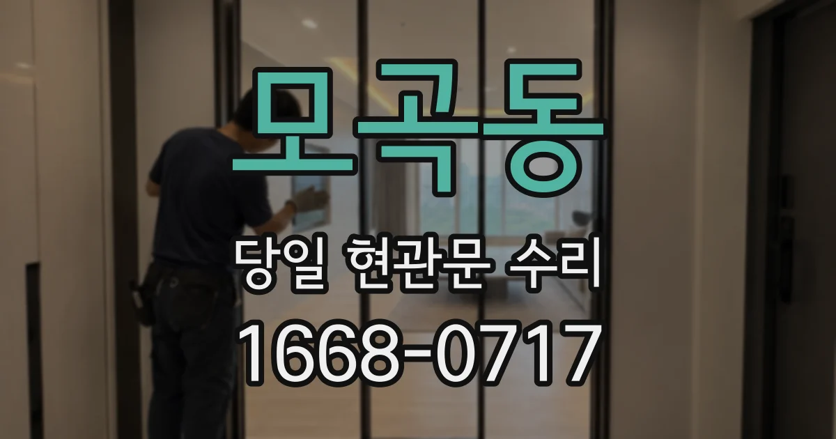 모곡동 당일 현관문 수리