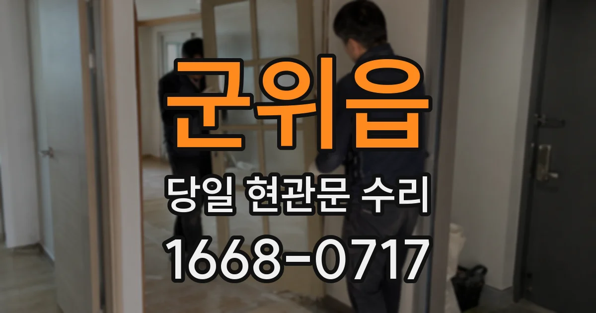 군위읍 당일 현관문 수리