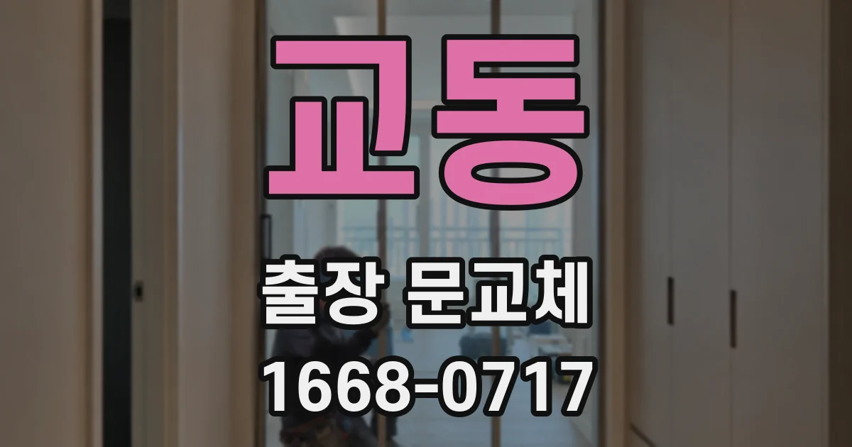 교동 출장 문교체