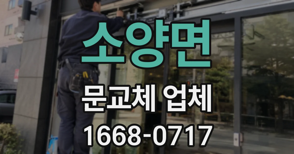 소양면 문교체 업체