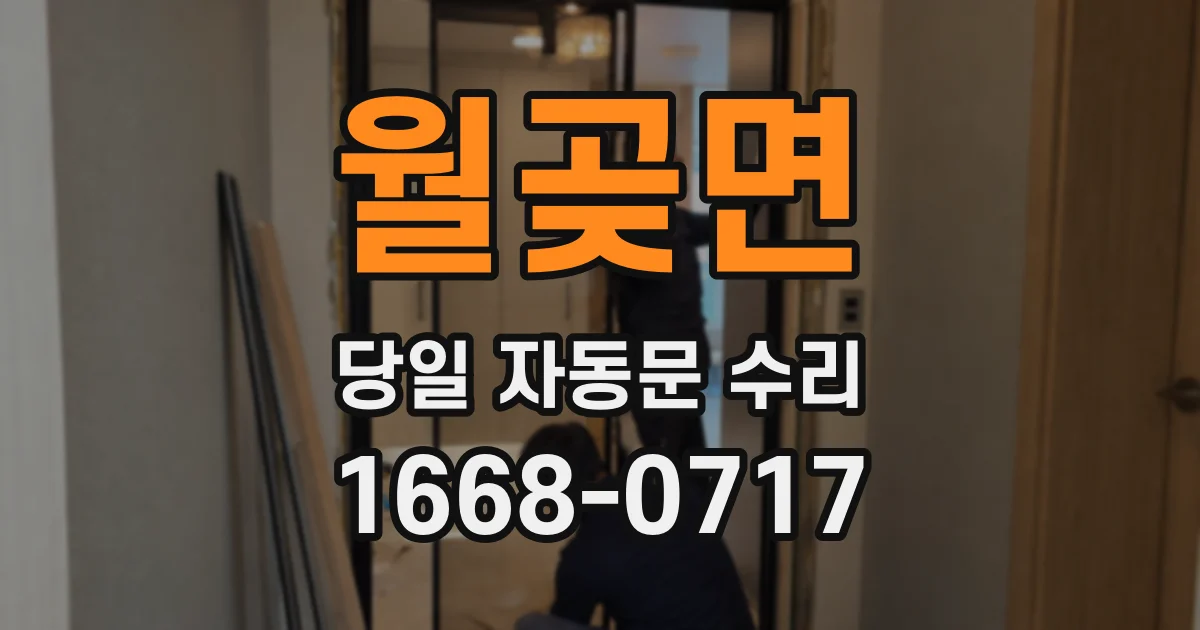 월곶면 당일 자동문 수리