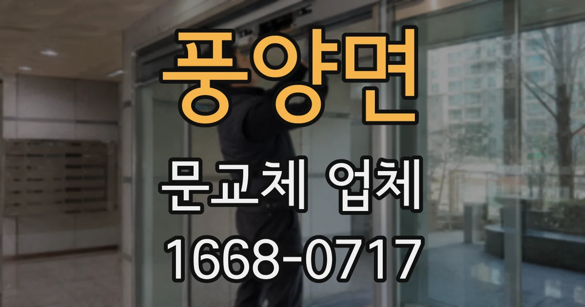 풍양면 문교체 업체