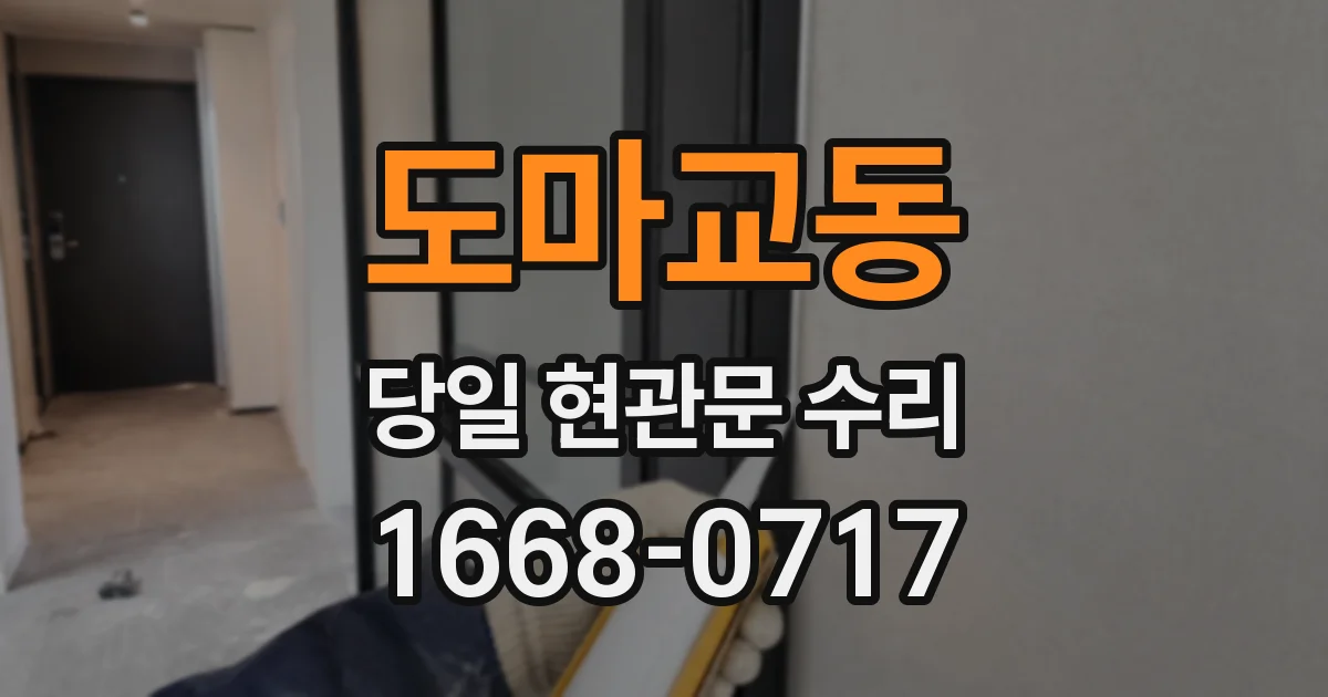 도마교동 당일 현관문 수리