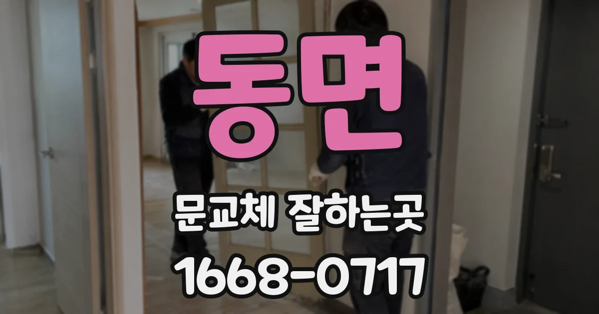 동면 문교체 잘하는곳
