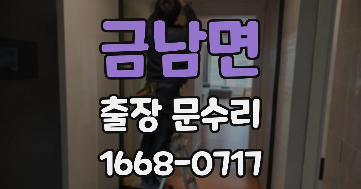 금남면 출장 문수리