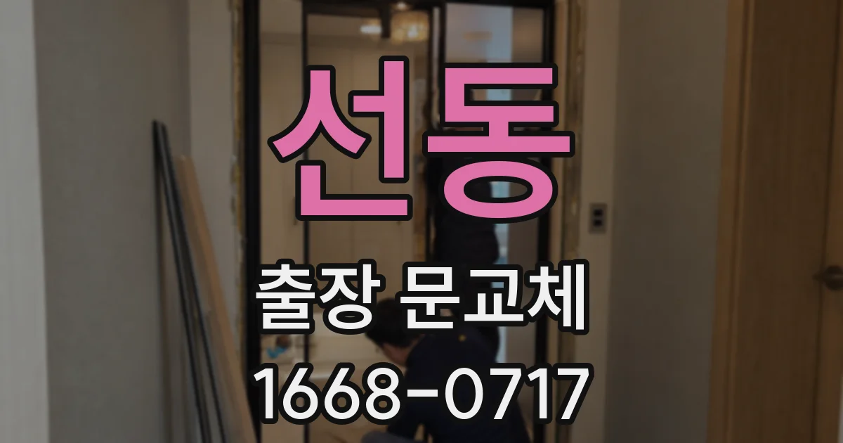 선동 출장 문교체