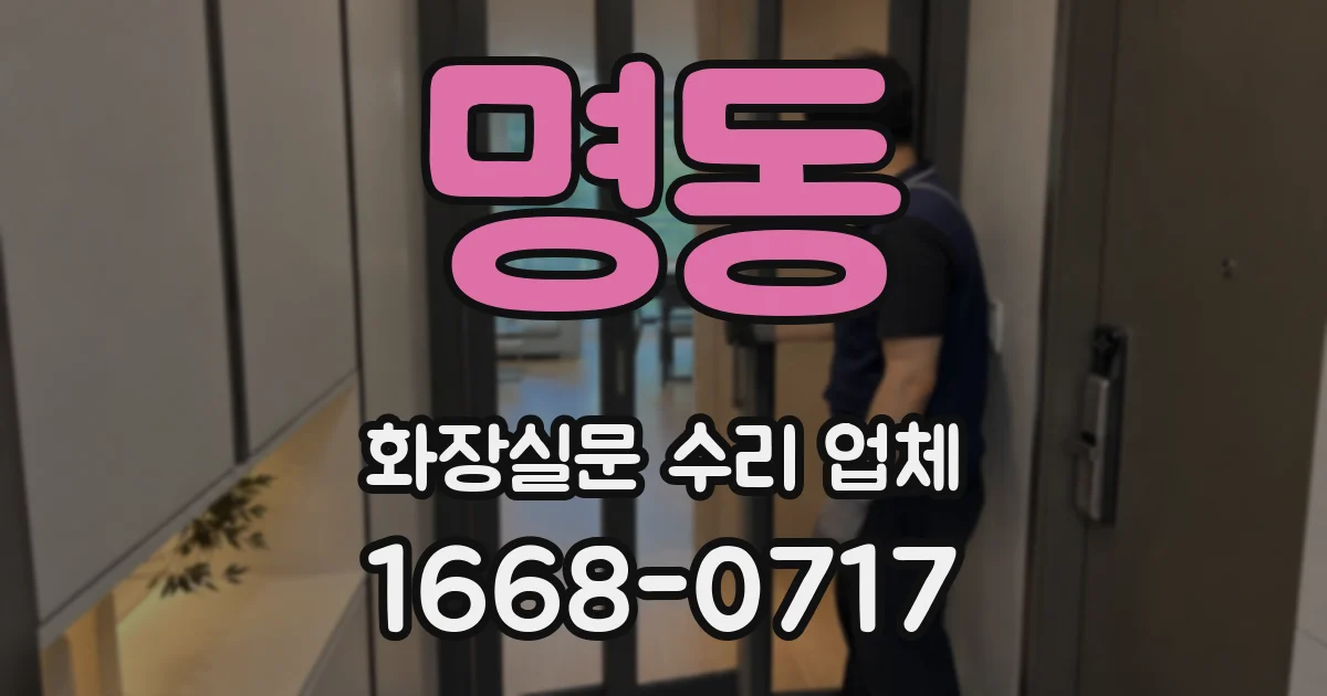 명동 화장실문 수리 업체