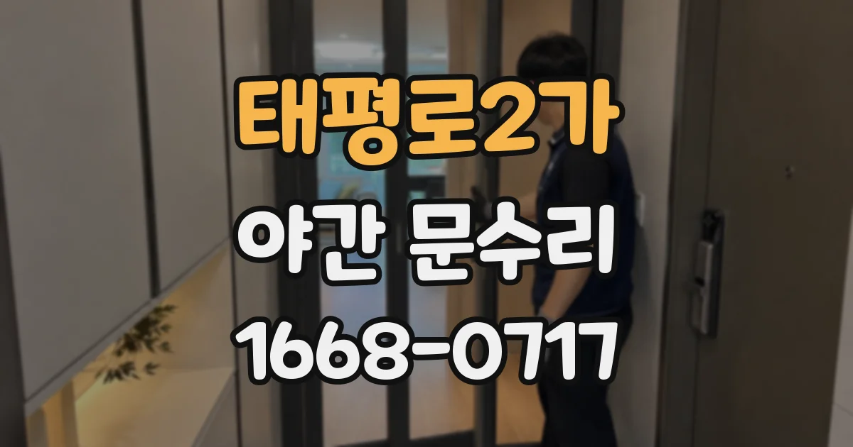 태평로2가 야간 문수리