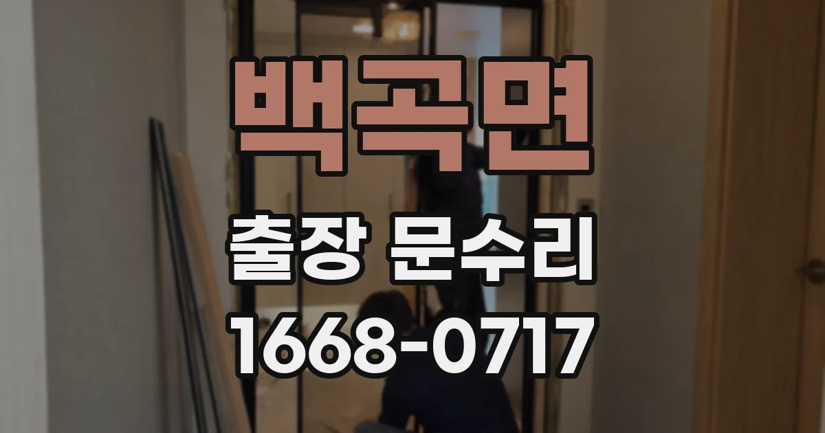 백곡면 출장 문수리