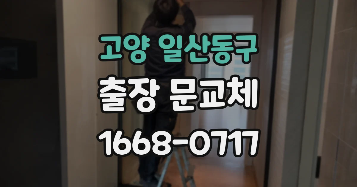 고양 일산동구 출장 문교체