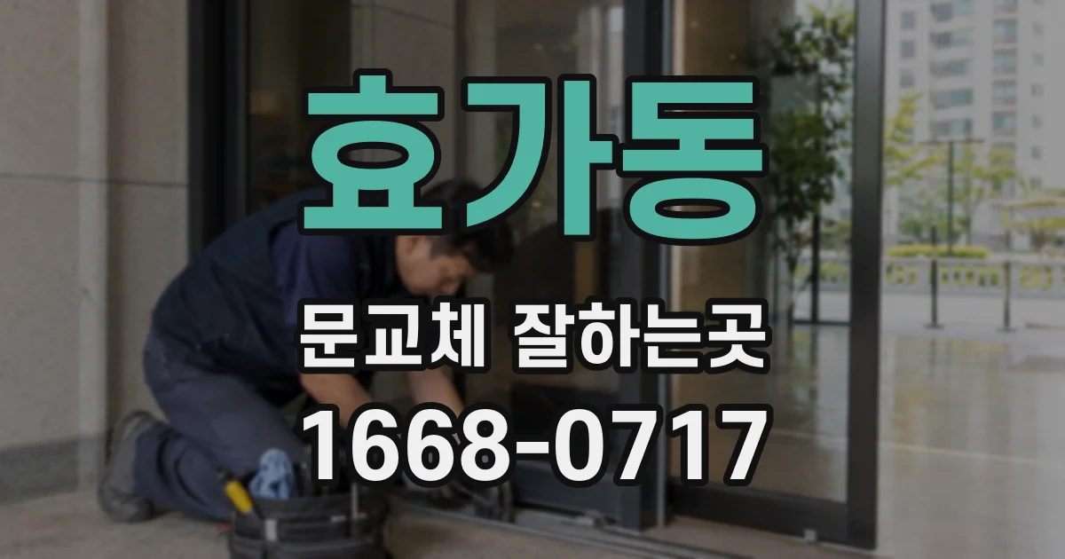 효가동 문교체 잘하는곳