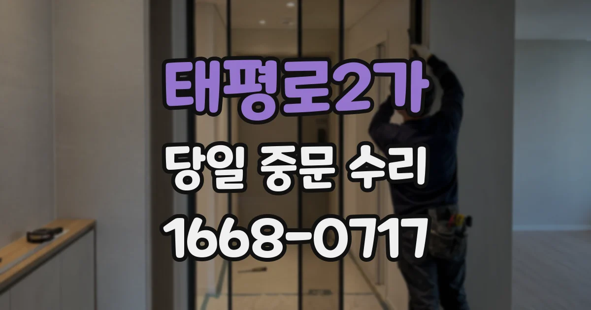 태평로2가 당일 중문 수리