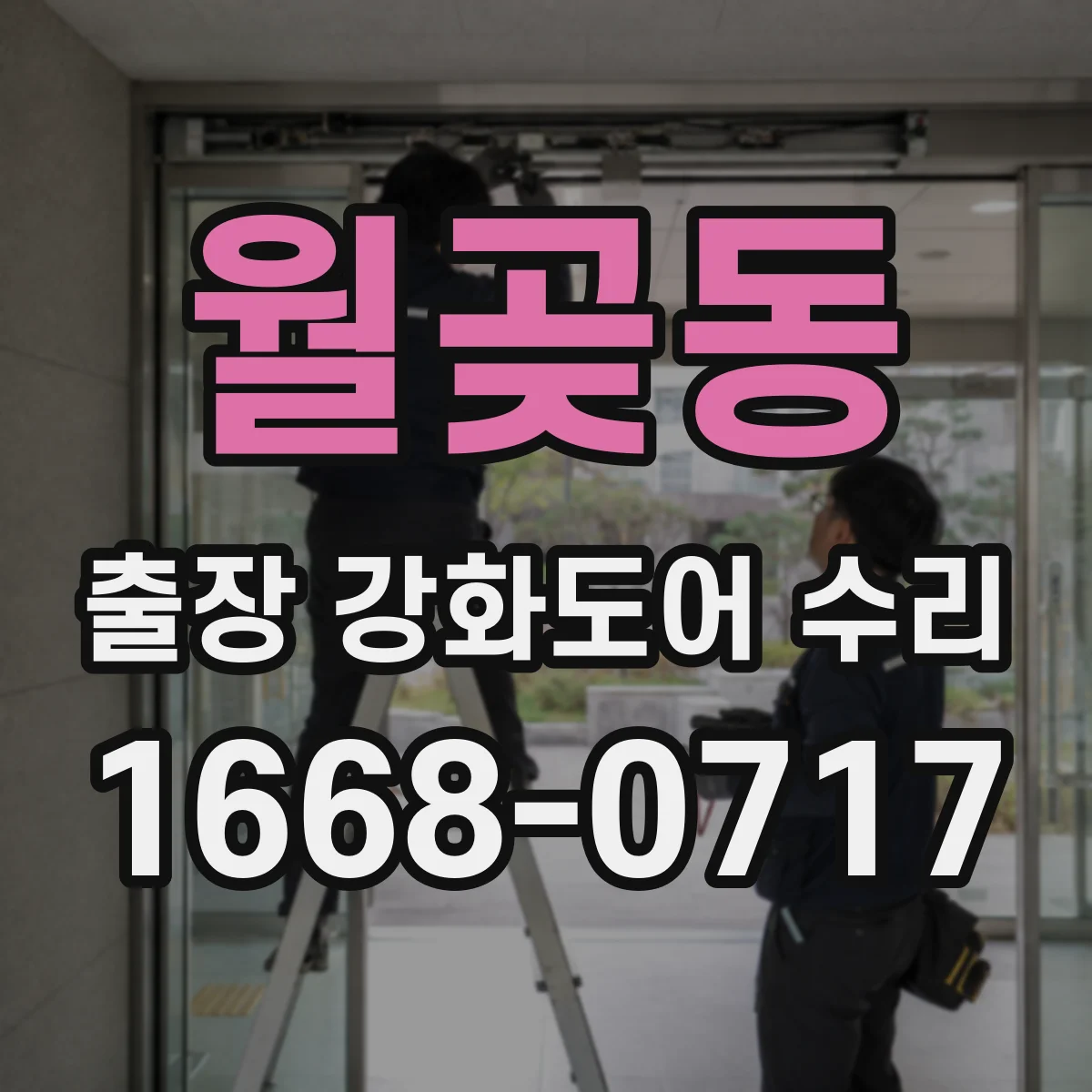 월곶동 출장 강화도어 수리